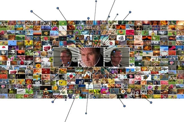 Comprendre le Machine Learning : Concepts et Applications