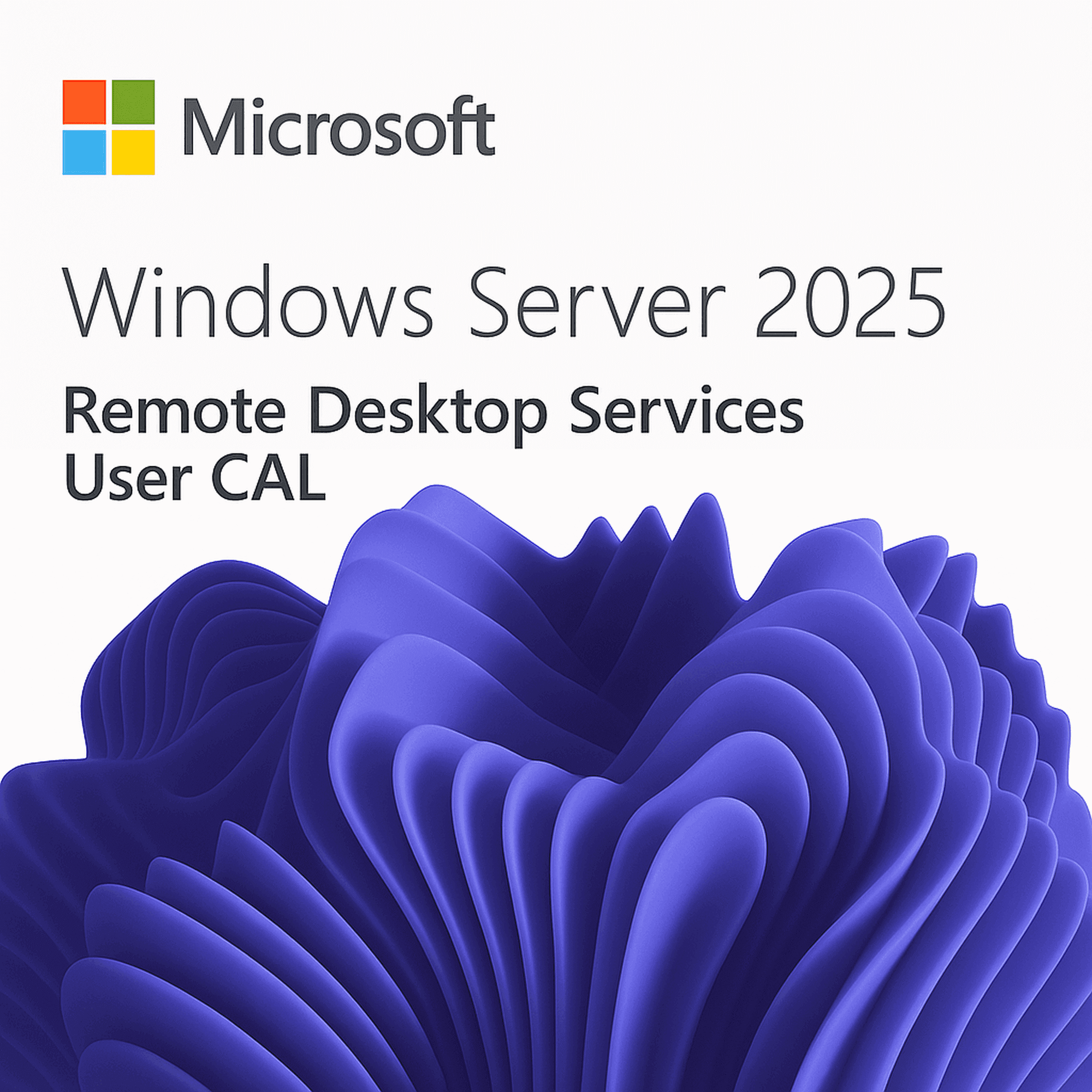 Microsoft Windows Server 2025 RDS Utilisateur/User CAL | 10 Utilisateurs | Version définitive | Téléchargement